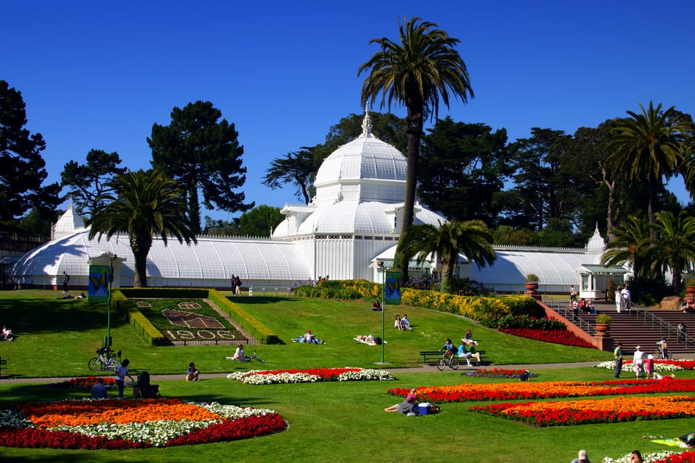 Body- Conservatory of Flowers, San Francisco